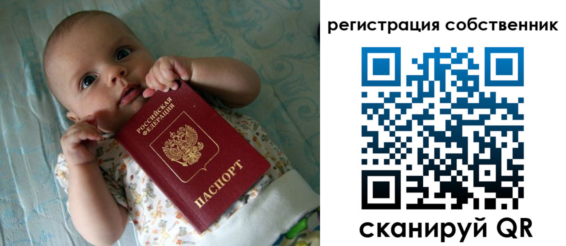 прописка иностранных граждан в Московской области